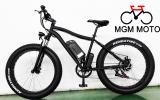 Beach cruiser fat tire big power mountain electric bike