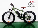 Harley electric bike ,fat tire hot sale mountain electric bike / 500W electric bicycle