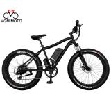 fat tire electric bike in 500W--1000W big power